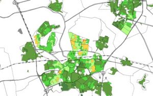 Breda